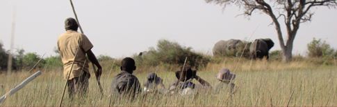 Im Okavango-Delta