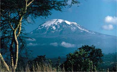 Kilimanjaro