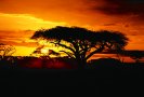 Sonnenuntergang